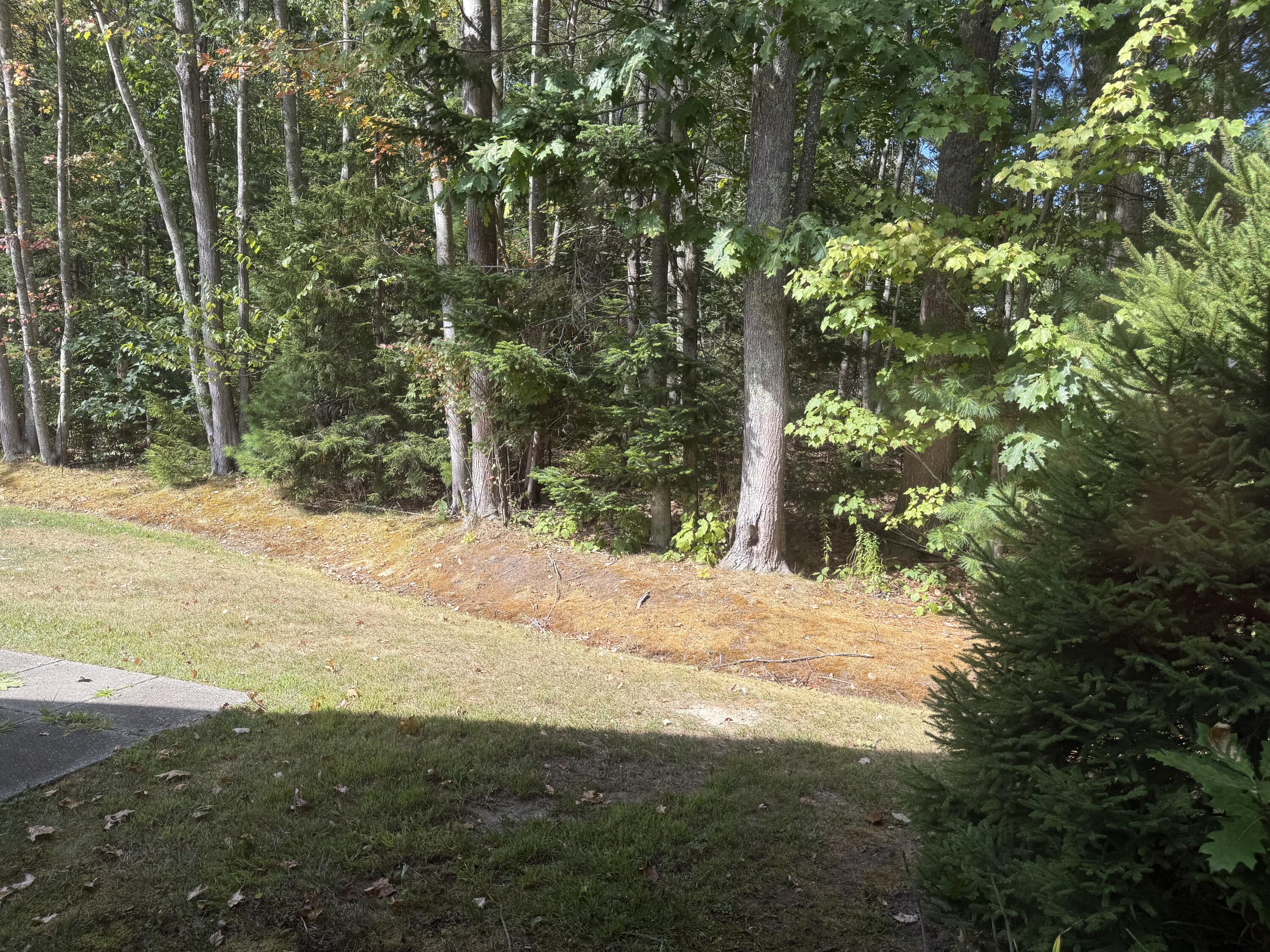 29 Stratton Road, Unit 29 Scarborough, ME 04074 - Photo 13 of 38 IMG_5499