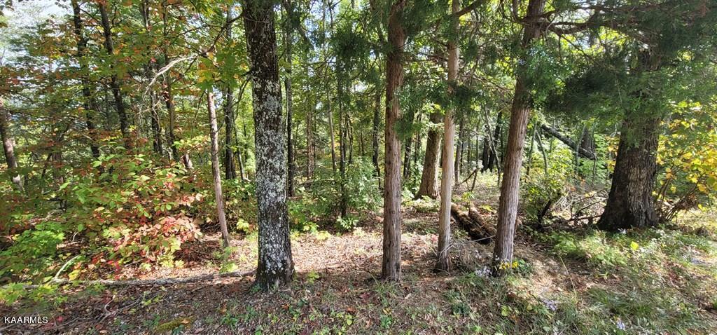 Lot 97 Shell Mtn Road Sevierville, TN 37876 - Photo 1 of 12 245569_0