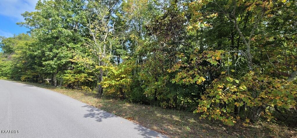 Lot 97 Shell Mtn Road Sevierville, TN 37876 - Photo 2 of 12 245569_13