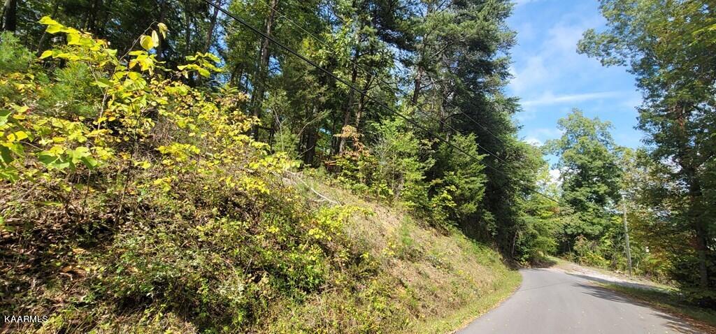 Lot 97 Shell Mtn Road Sevierville, TN 37876 - Photo 11 of 12 245569_1