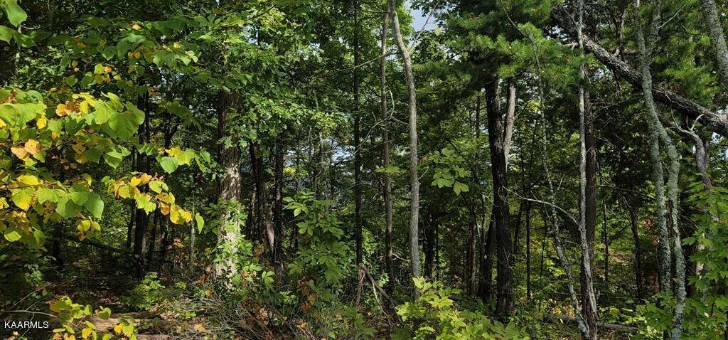 Lot 97 Shell Mtn Road Sevierville, TN 37876 - Photo 3 of 12 245569_11