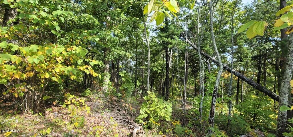 Lot 97 Shell Mtn Road Sevierville, TN 37876 - Photo 4 of 12 245569_10