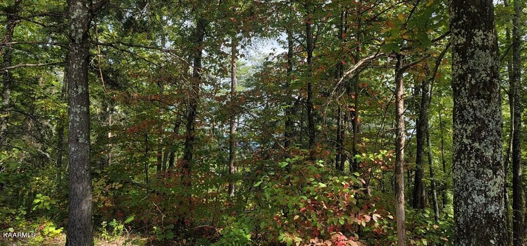 Lot 97 Shell Mtn Road Sevierville, TN 37876 - Photo 5 of 12 245569_9