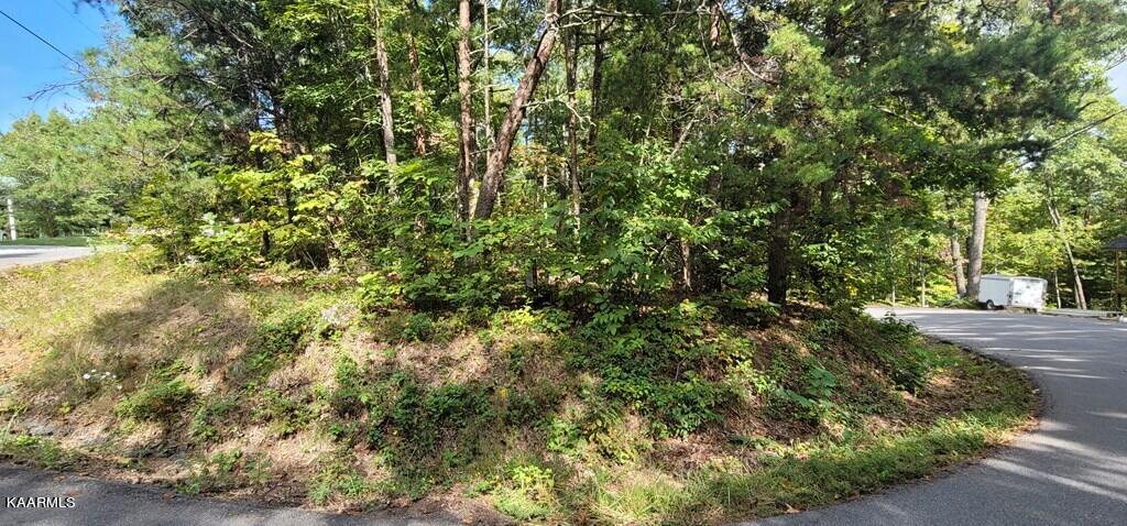 Lot 97 Shell Mtn Road Sevierville, TN 37876 - Photo 7 of 12 245569_4