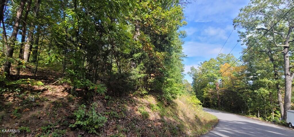Lot 97 Shell Mtn Road Sevierville, TN 37876 - Photo 8 of 12 245569_3