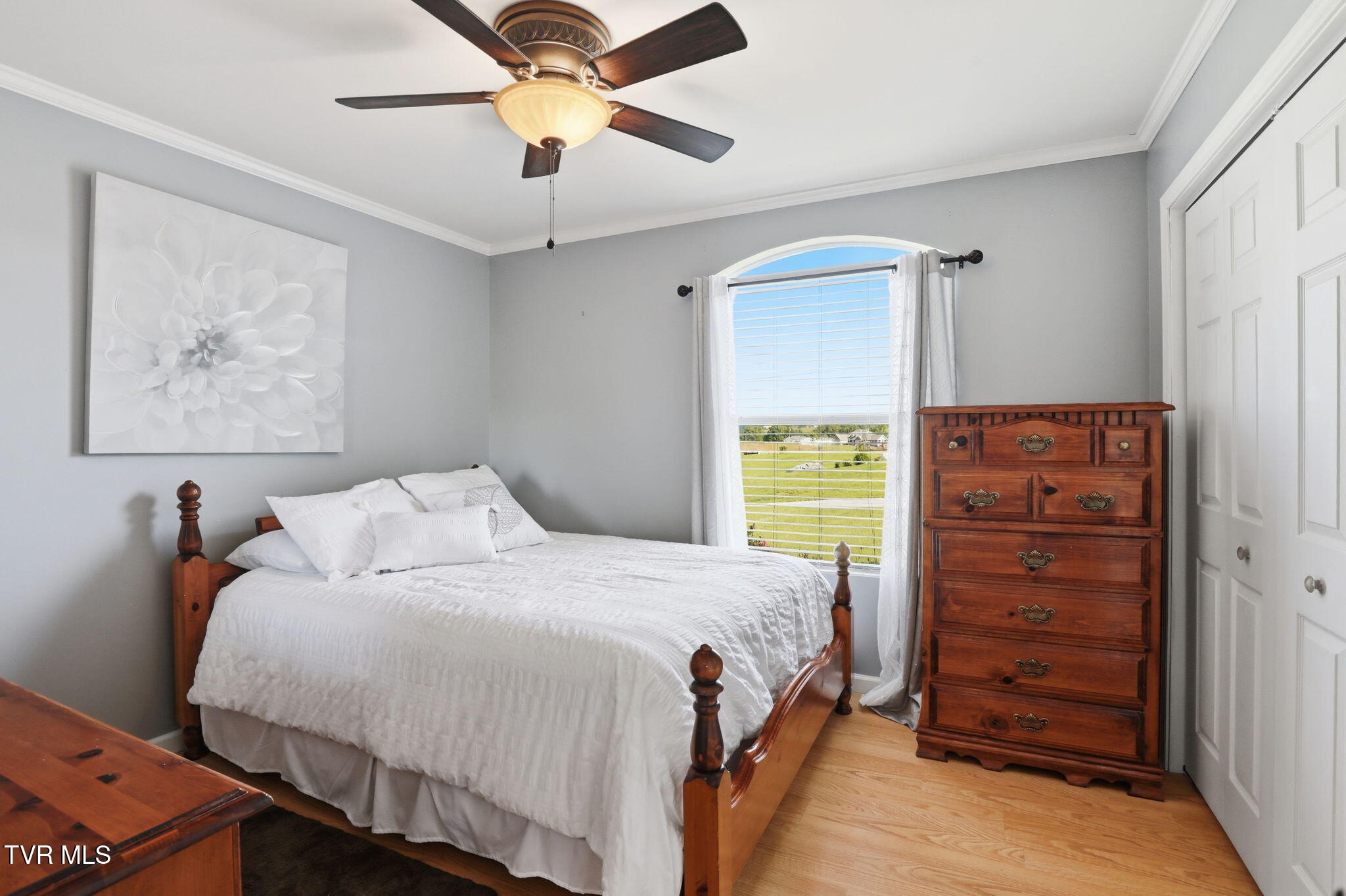 3746 Old Stage Road Chuckey, TN 37641 - Photo 19 of 38 22-web-or-mls-DZ3A8514