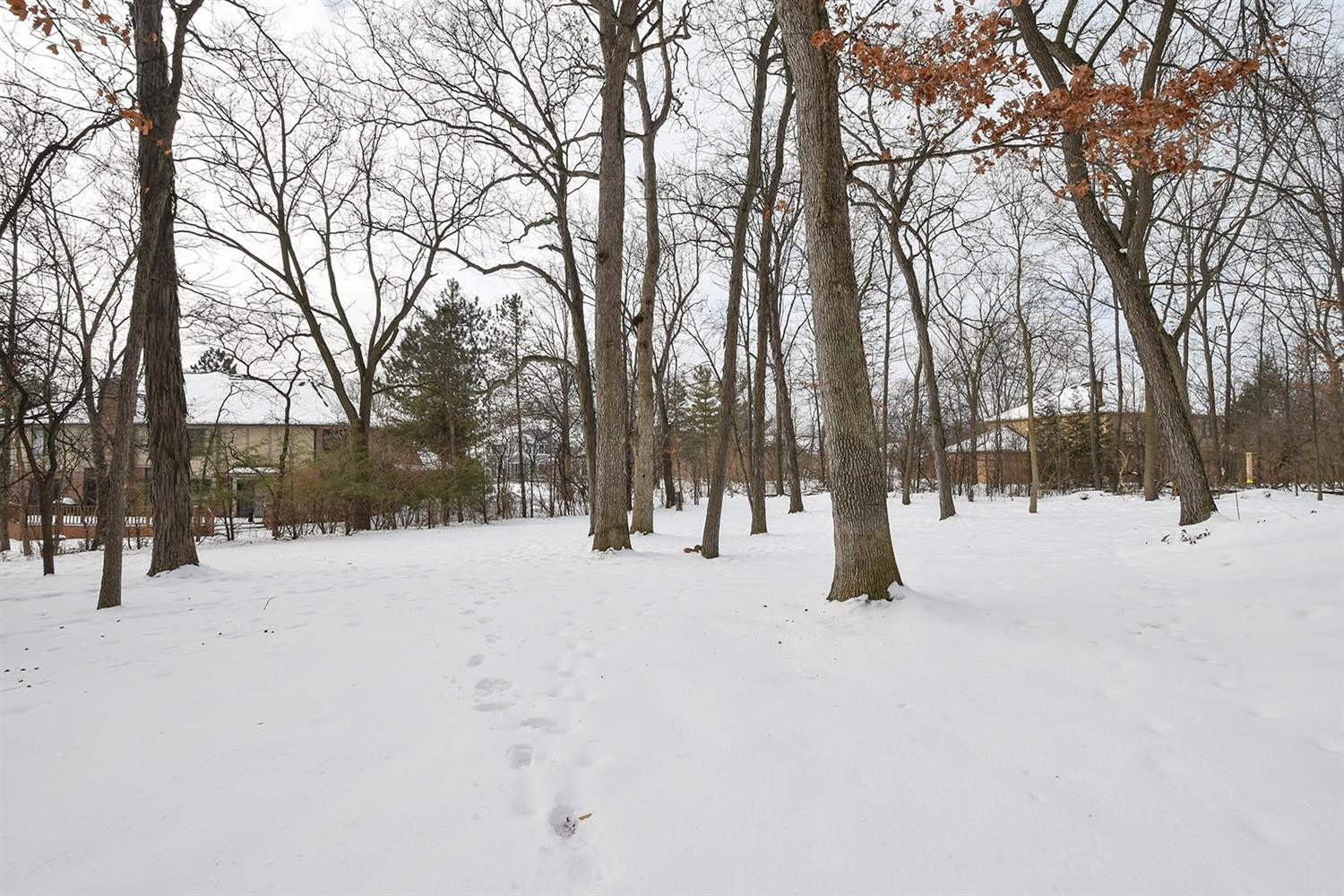 3390 Andover Road Ann Arbor, MI 48105 - Photo 36 of 39 Photo 36