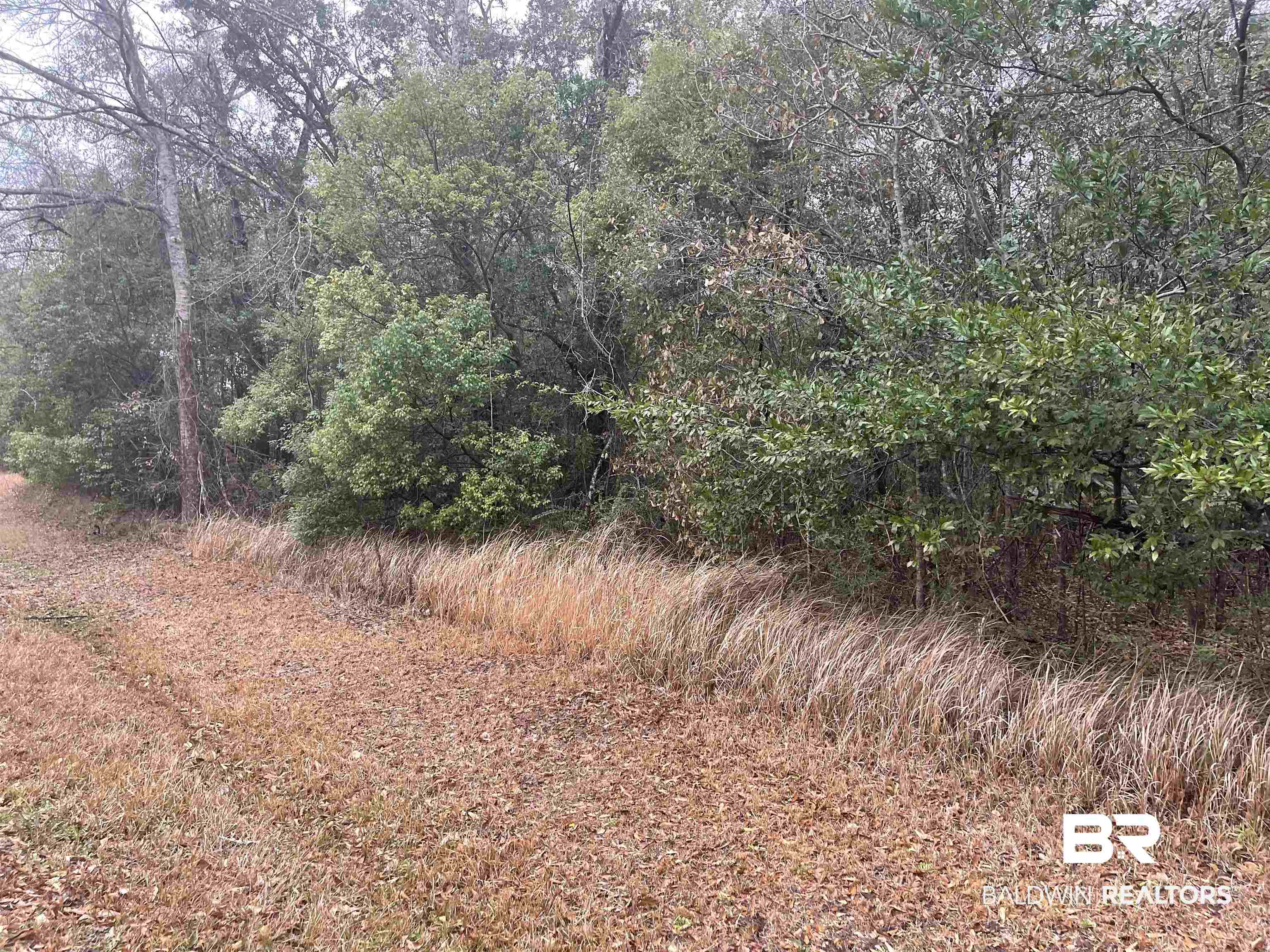 0 Elmo Avenue Theodore, AL 36582 - Photo 3 of 4