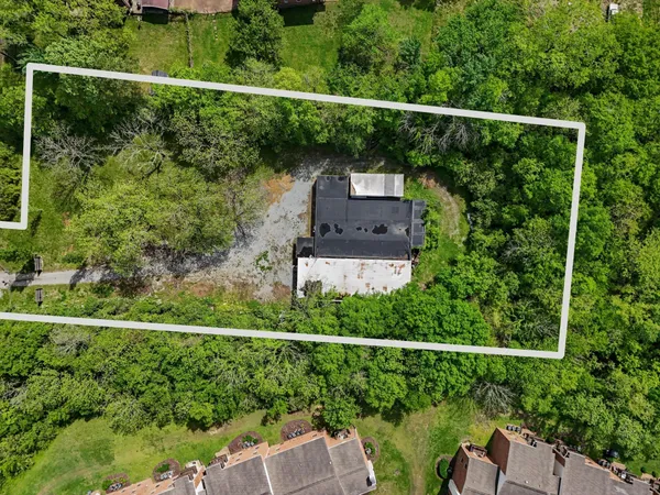 a view of a yard with a forest