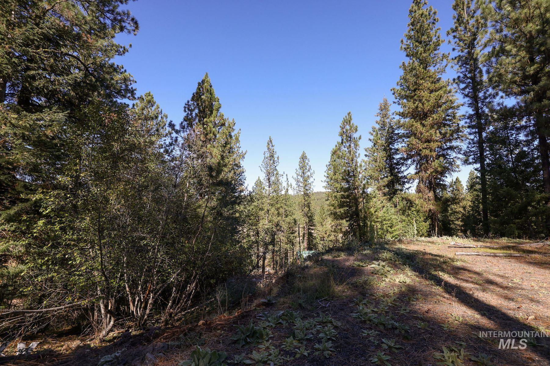 Lot 22 Rim Road New Meadows, ID 83654 - Photo 35 of 49