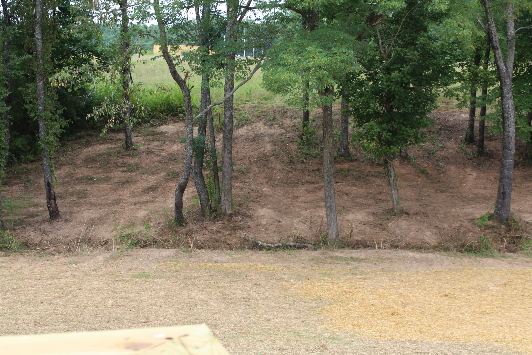 595 Days Road Lafayette, TN 37083 - Photo 5 of 21 a view of a dry yard with trees