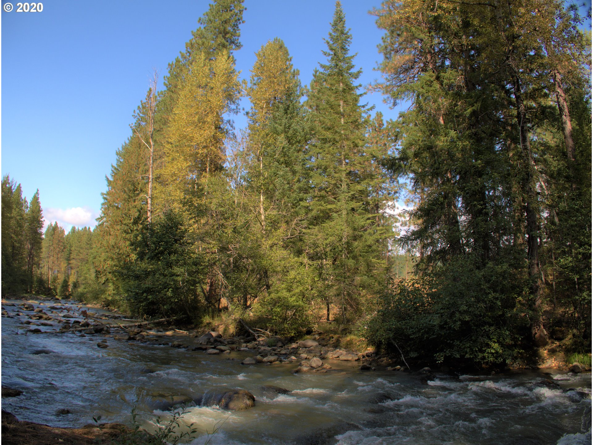 Little Mtn Road Trout Lake, WA 98650 - Photo 11 of 20 Gallery Image 11