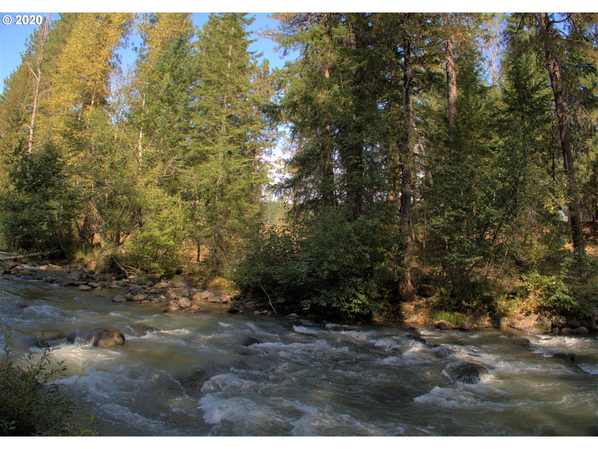 Little Mtn Road Trout Lake, WA 98650 - Photo 12 of 20 Gallery Image 12