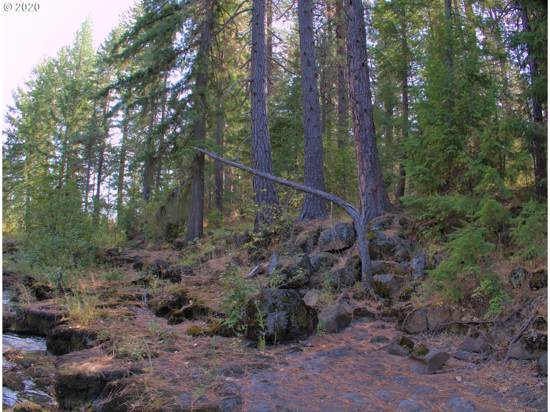 Little Mtn Road Trout Lake, WA 98650 - Photo 13 of 20 Gallery Image 13