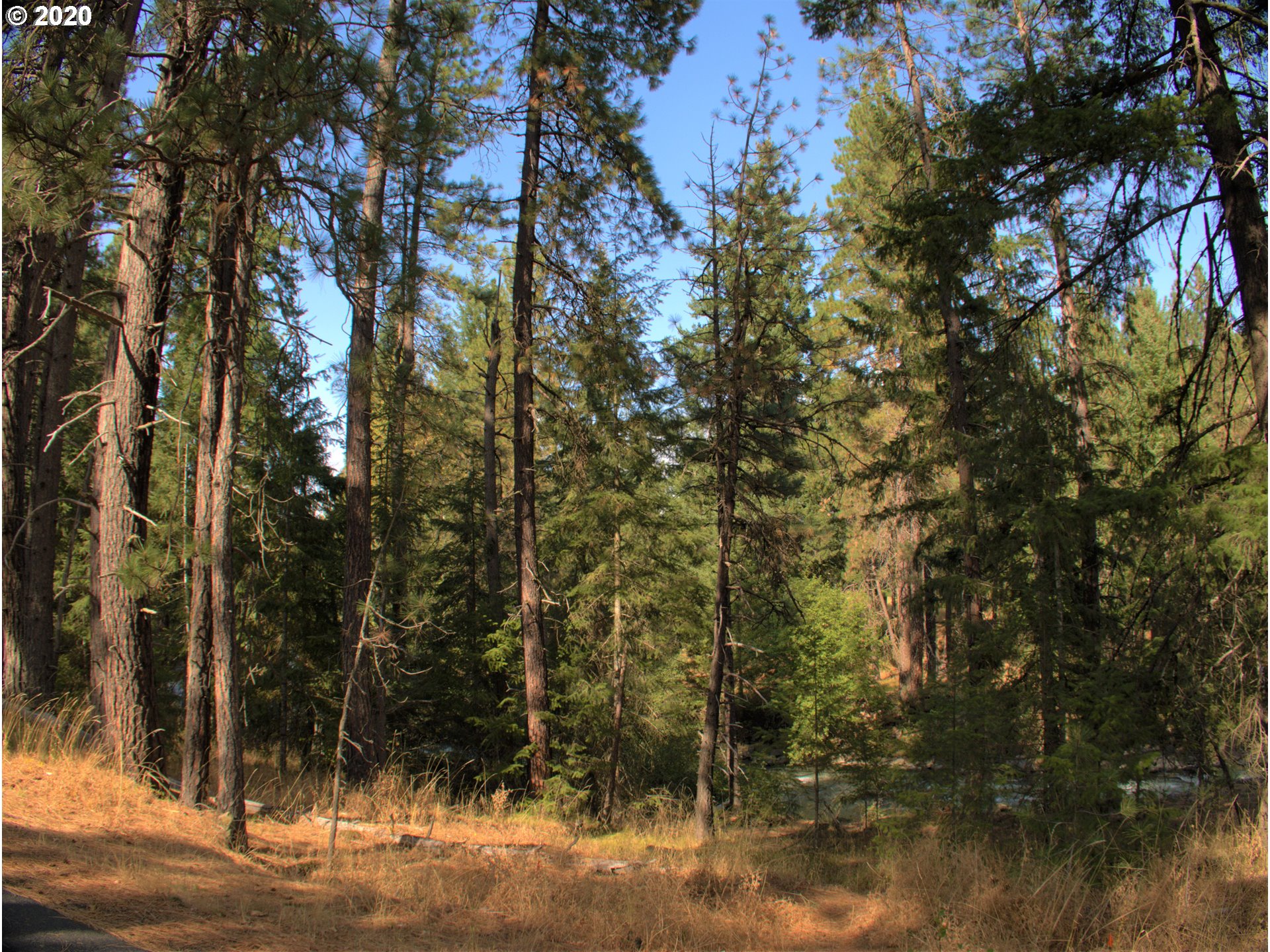 Little Mtn Road Trout Lake, WA 98650 - Photo 15 of 20 Gallery Image 15