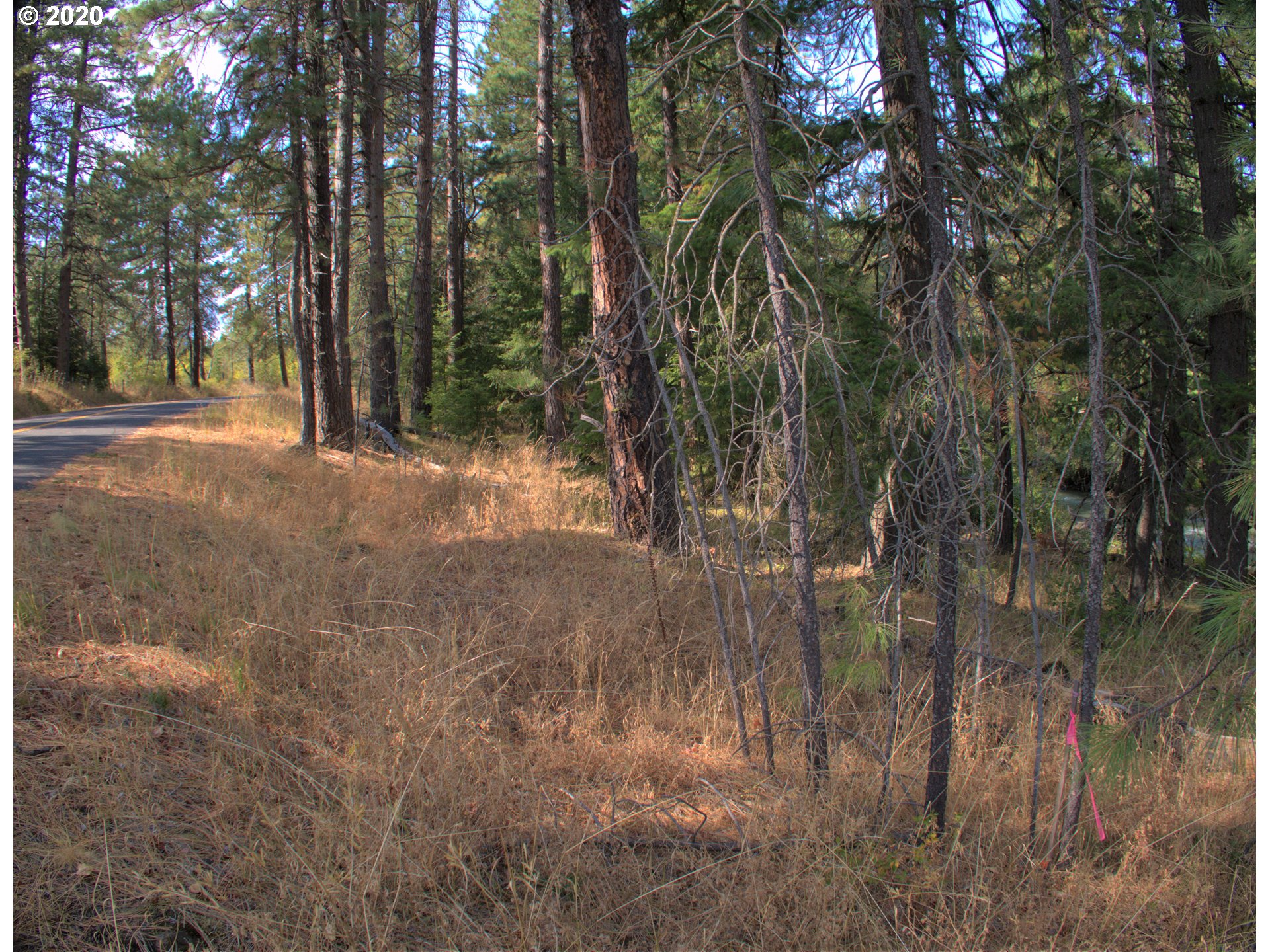 Little Mtn Road Trout Lake, WA 98650 - Photo 16 of 20 Gallery Image 16