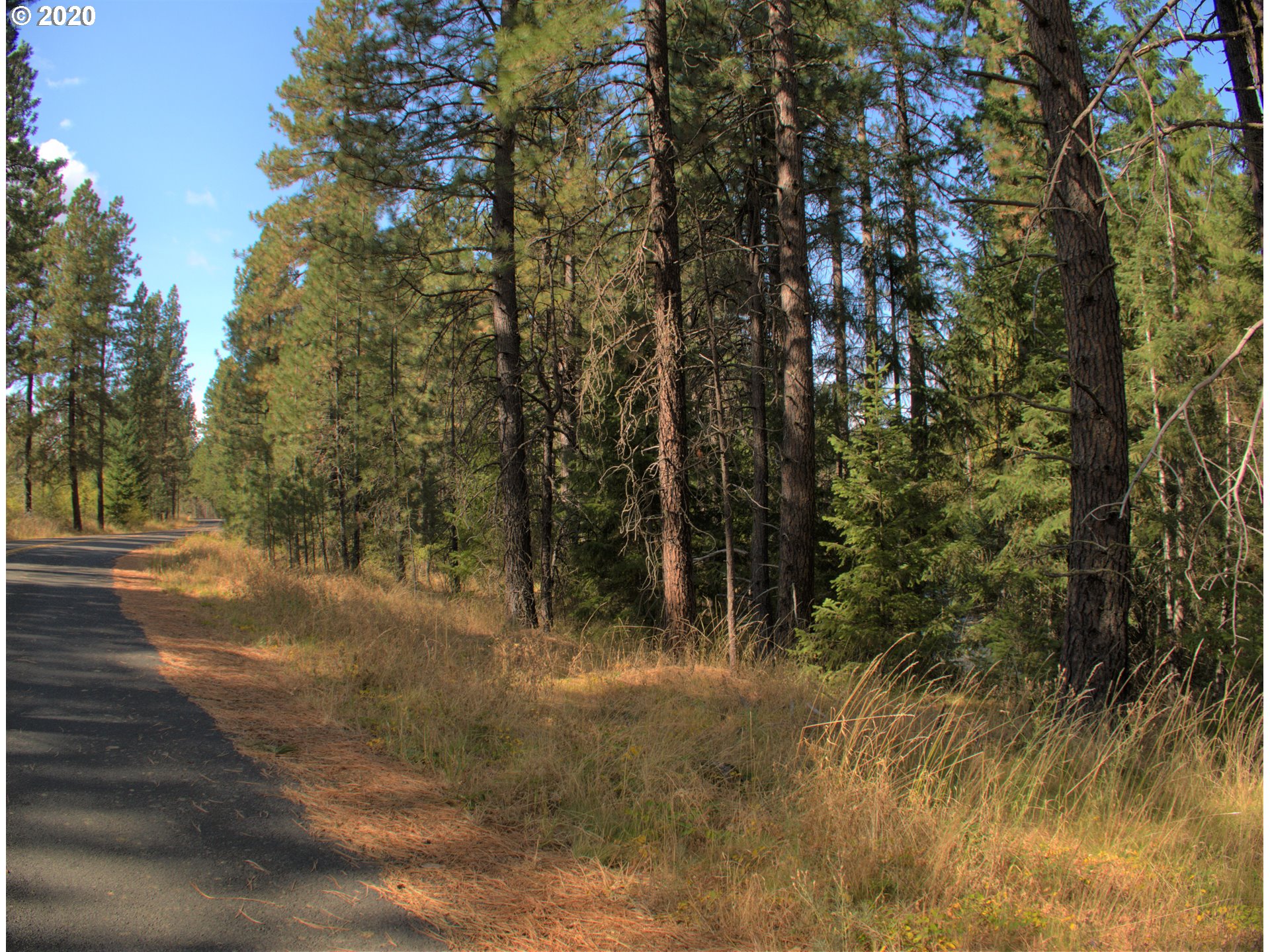 Little Mtn Road Trout Lake, WA 98650 - Photo 17 of 20 Gallery Image 17