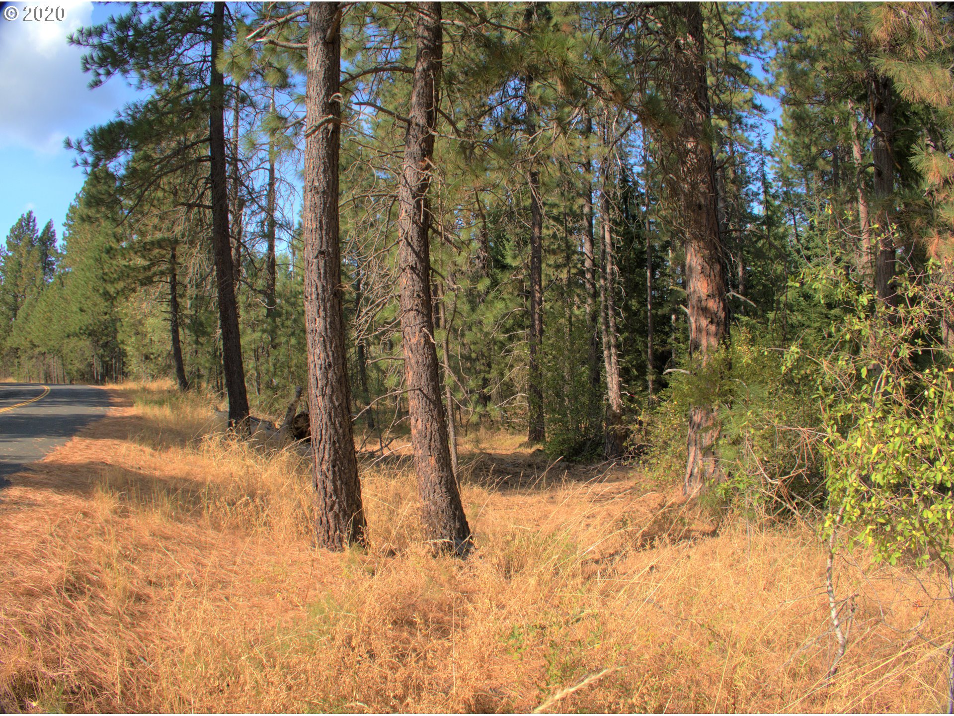 Little Mtn Road Trout Lake, WA 98650 - Photo 18 of 20 Gallery Image 18