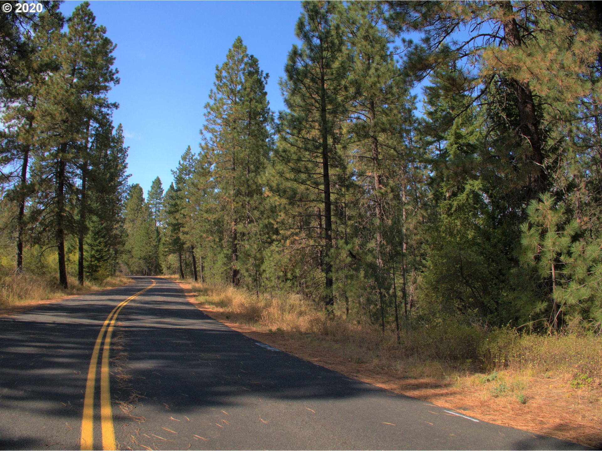 Little Mtn Road Trout Lake, WA 98650 - Photo 19 of 20 Gallery Image 19
