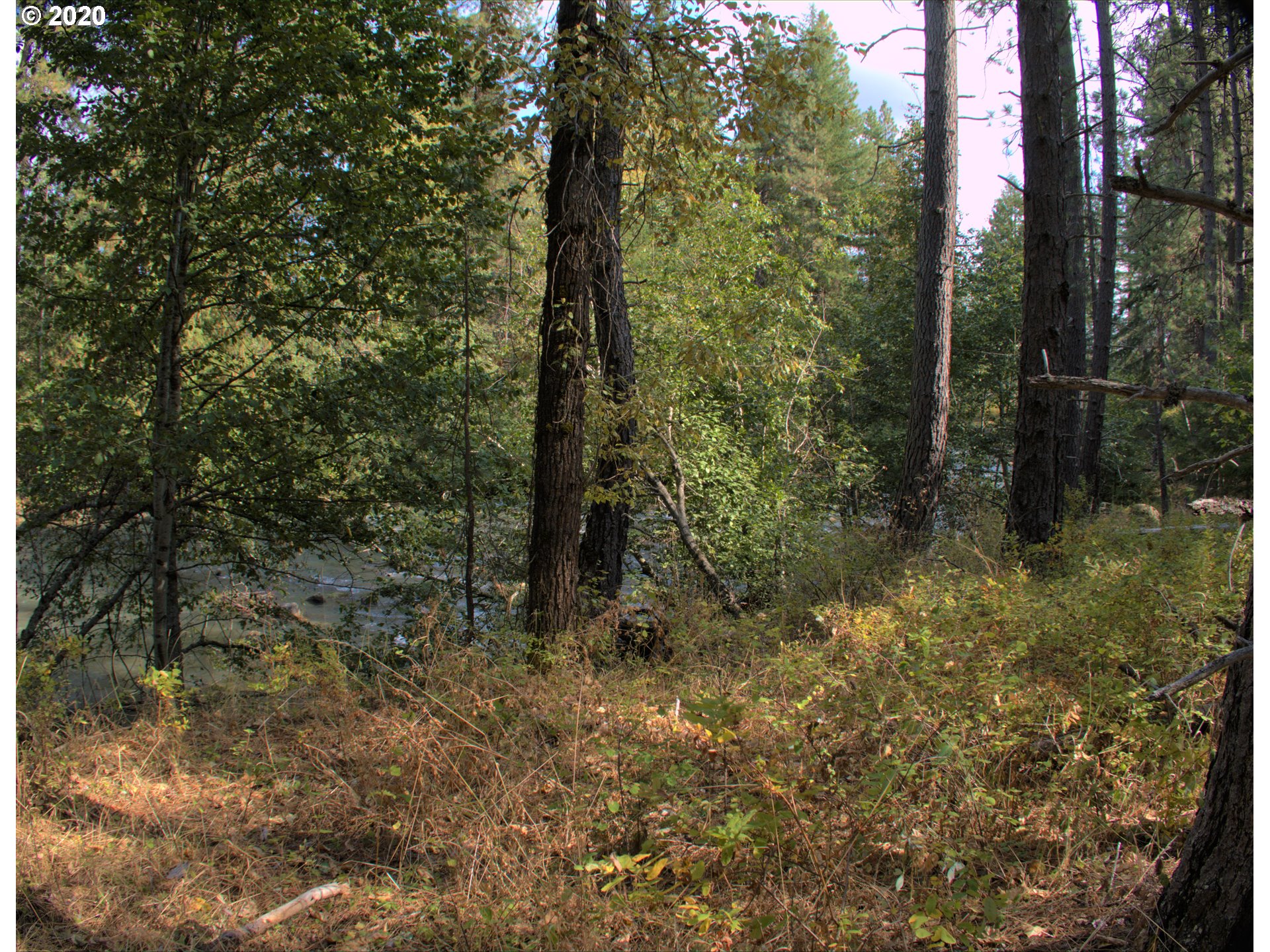 Little Mtn Road Trout Lake, WA 98650 - Photo 3 of 20 Gallery Image 3