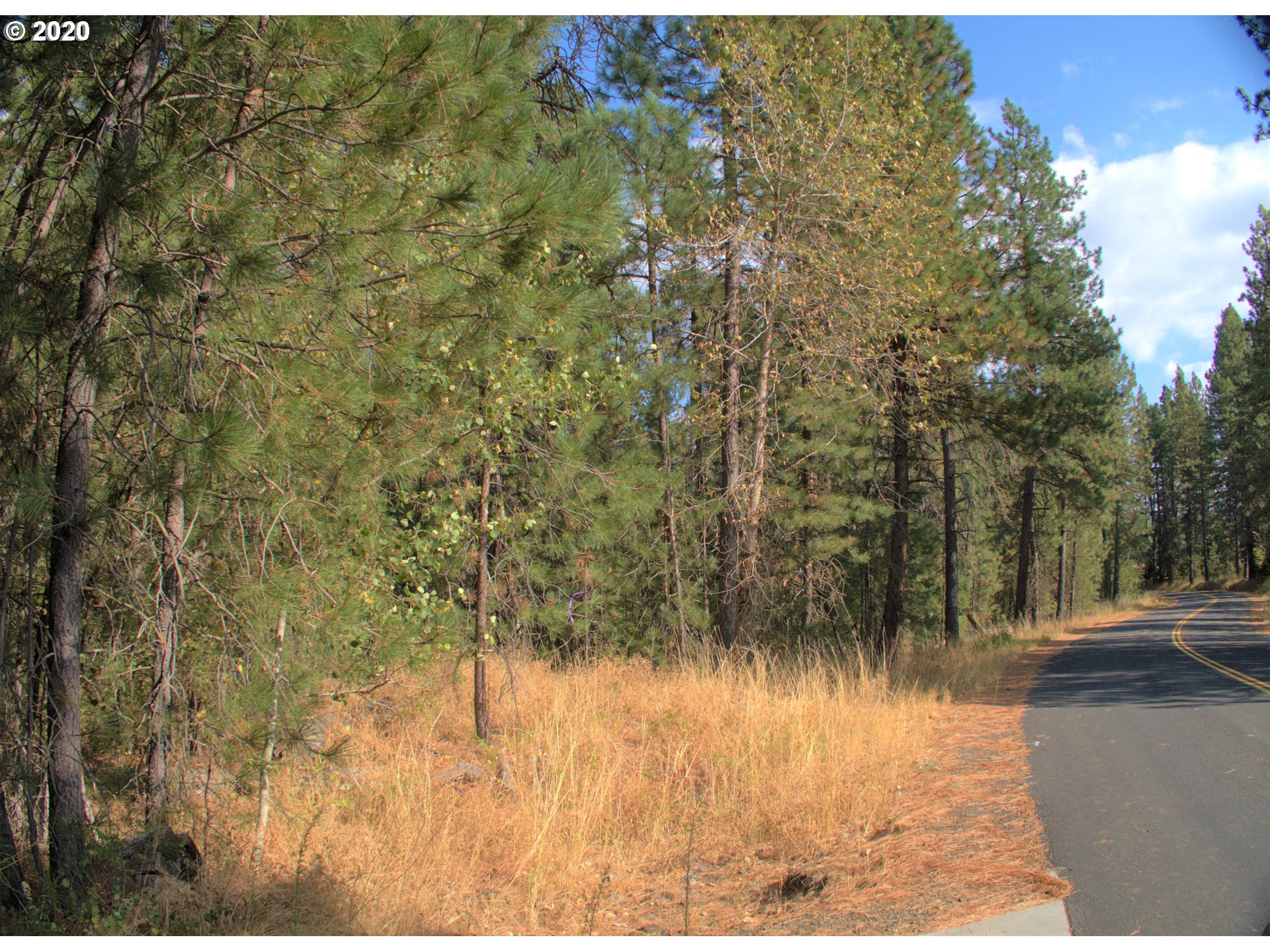 Little Mtn Road Trout Lake, WA 98650 - Photo 4 of 20 Gallery Image 4