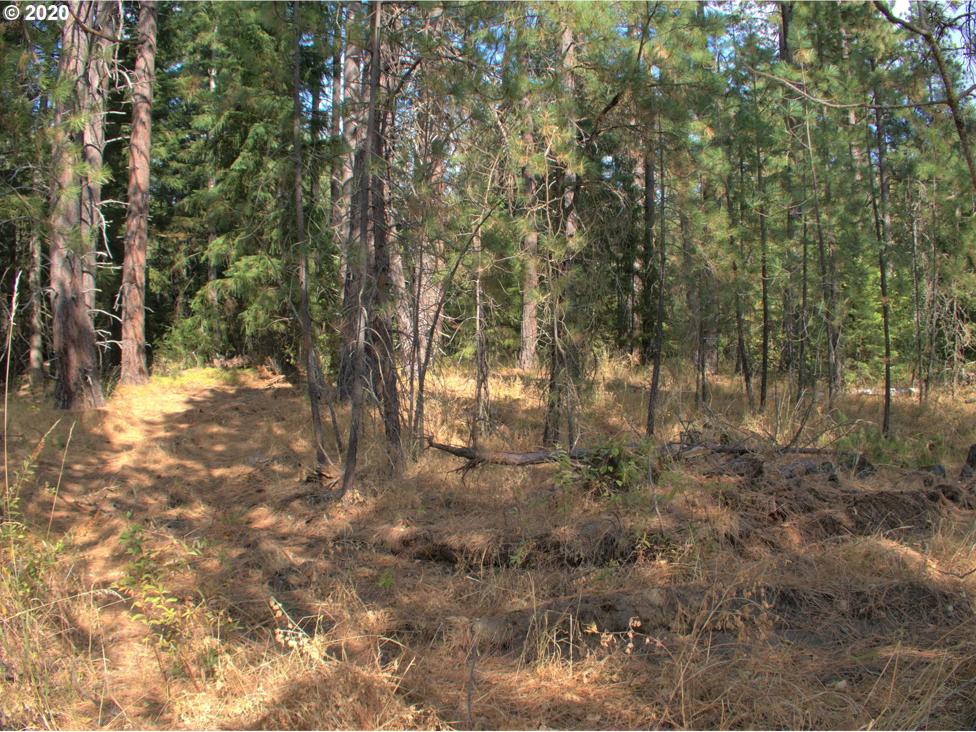 Little Mtn Road Trout Lake, WA 98650 - Photo 5 of 20 Gallery Image 5