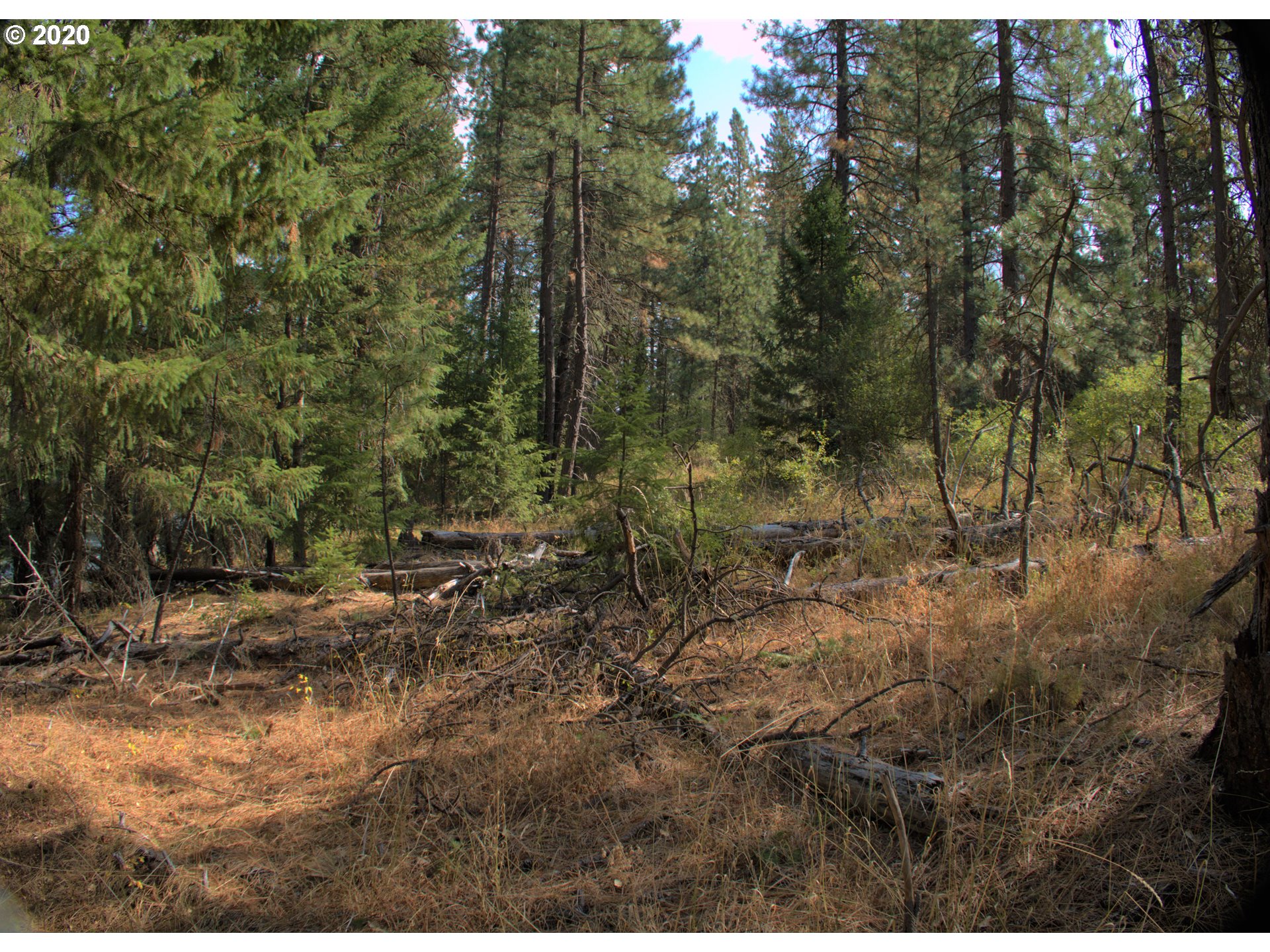 Little Mtn Road Trout Lake, WA 98650 - Photo 6 of 20 Gallery Image 6