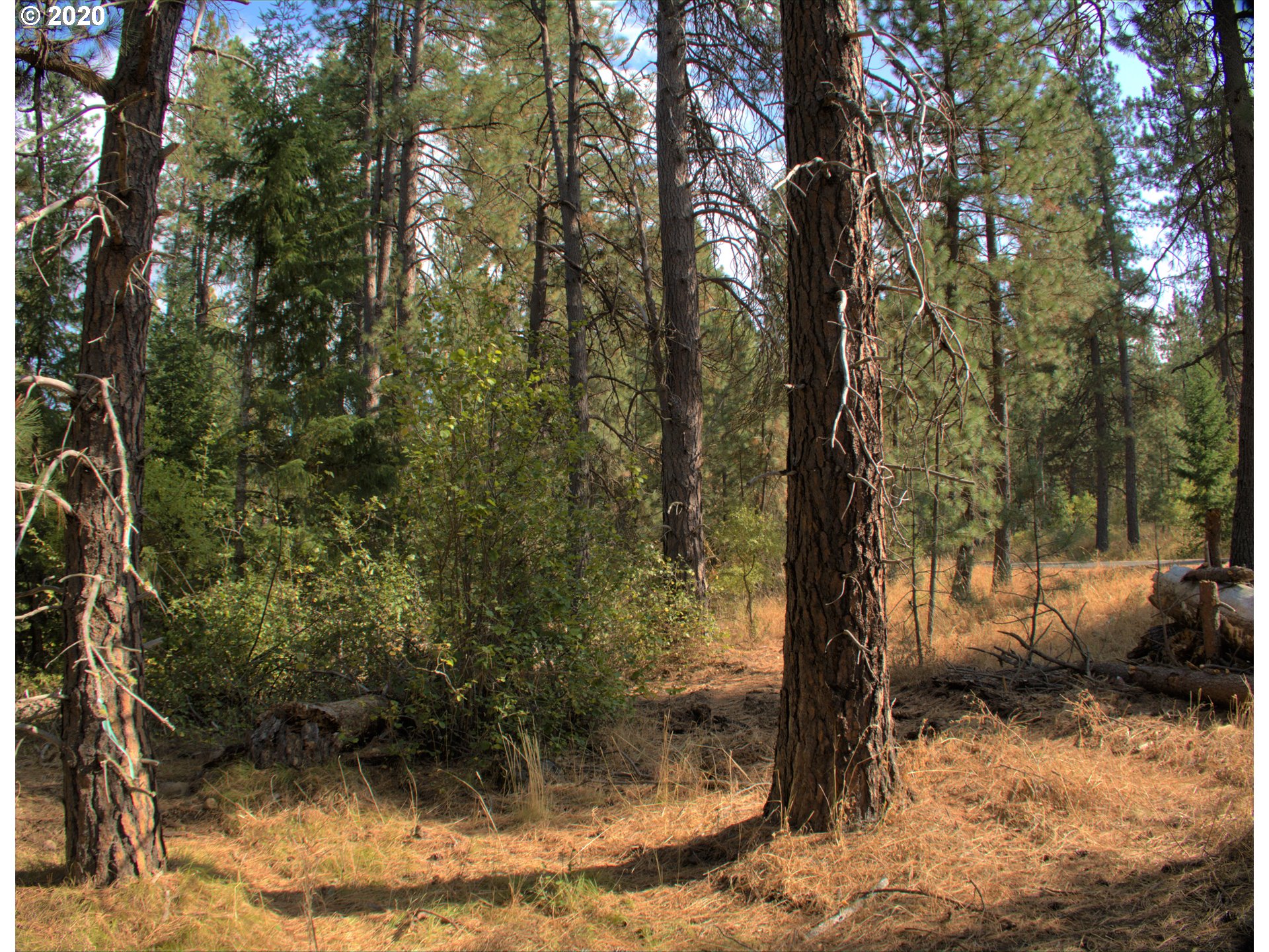 Little Mtn Road Trout Lake, WA 98650 - Photo 7 of 20 Gallery Image 7