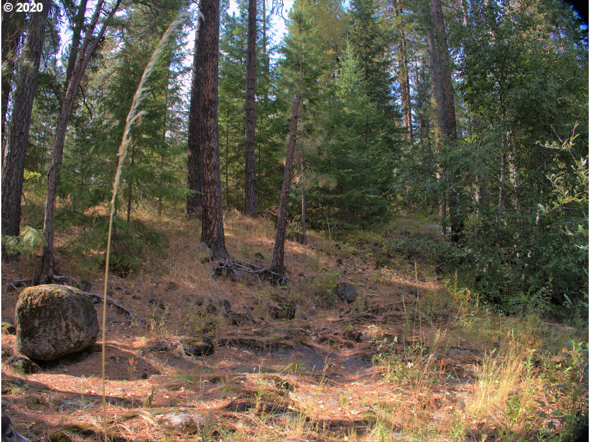 Little Mtn Road Trout Lake, WA 98650 - Photo 9 of 20 Gallery Image 9