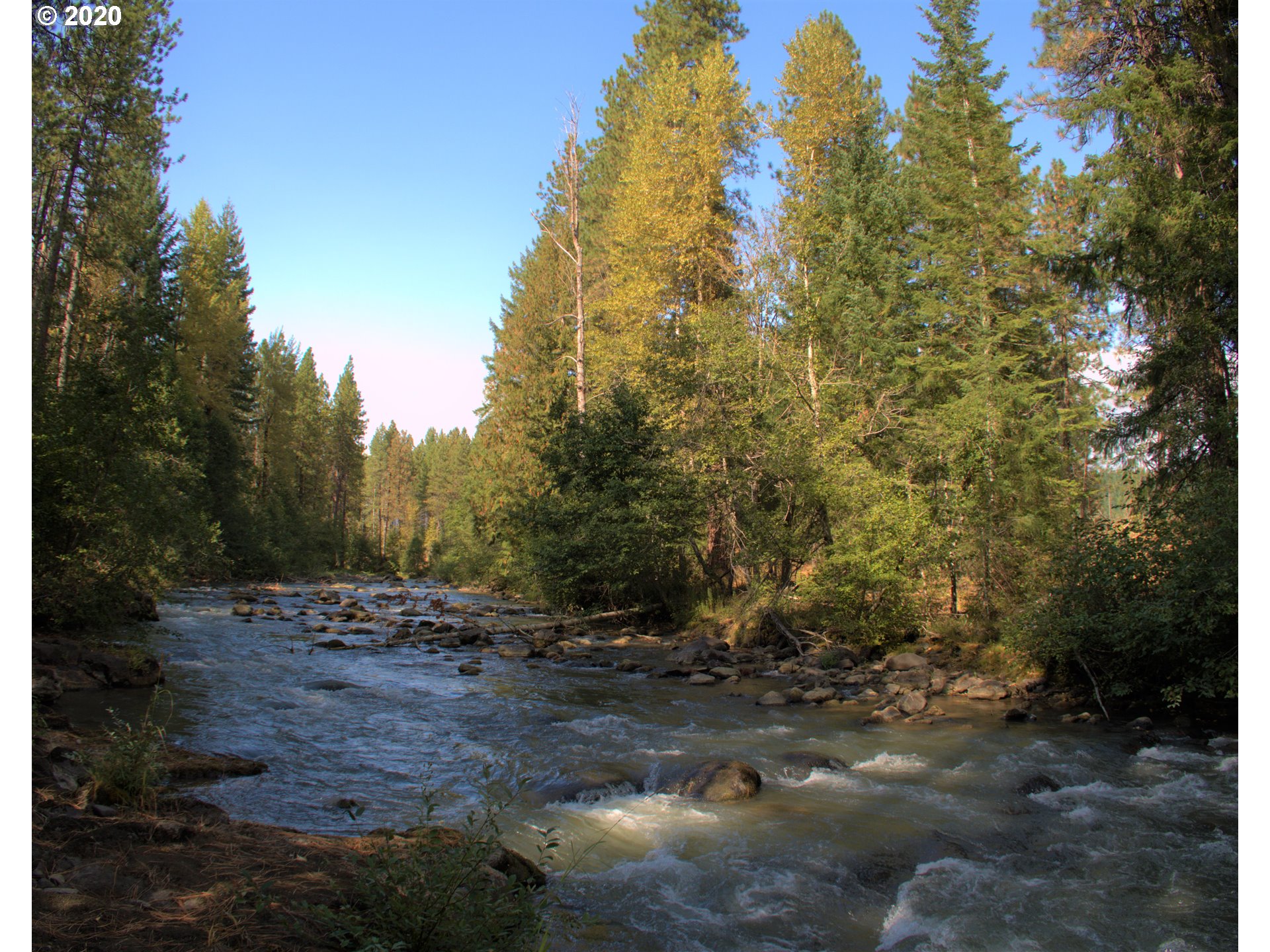 Little Mtn Road Trout Lake, WA 98650 - Photo 10 of 20 Gallery Image 10