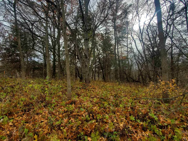 $35,000 | 16 Bayberry Drive, Galena, IL 61036