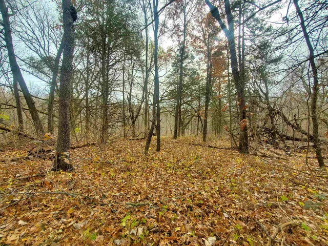 $35,000 | 16 Bayberry Drive, Galena, IL 61036