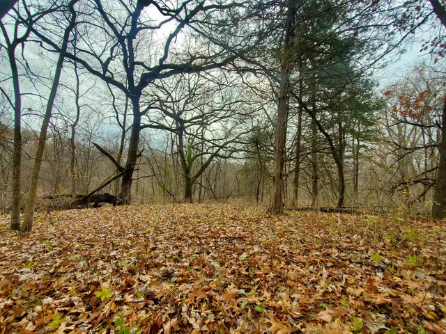 $35,000 | 16 Bayberry Drive, Galena, IL 61036