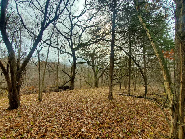 $35,000 | 16 Bayberry Drive, Galena, IL 61036