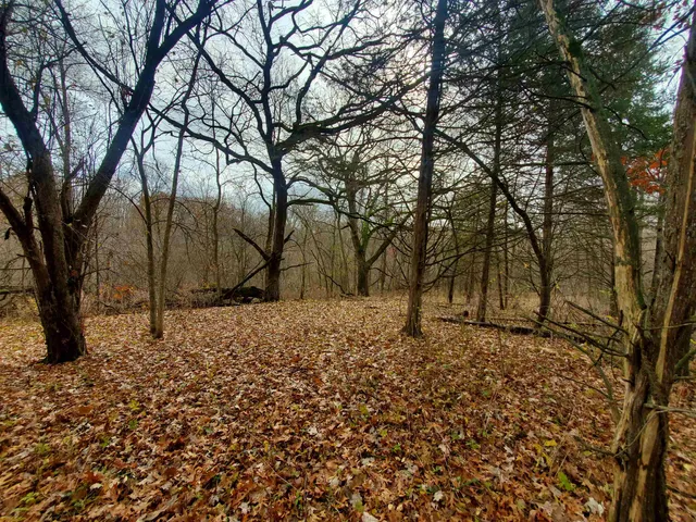 $35,000 | 16 Bayberry Drive, Galena, IL 61036