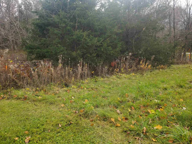 $35,000 | 16 Bayberry Drive, Galena, IL 61036