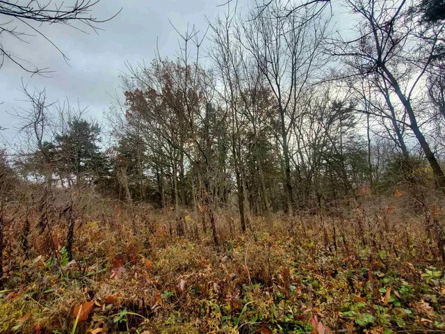 $35,000 | 16 Bayberry Drive, Galena, IL 61036