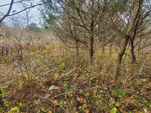 $35,000 | 16 Bayberry Drive, Galena, IL 61036