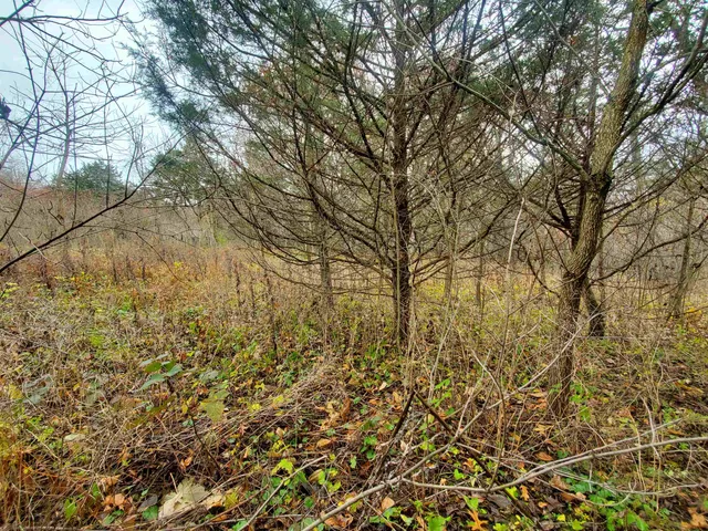 $35,000 | 16 Bayberry Drive, Galena, IL 61036