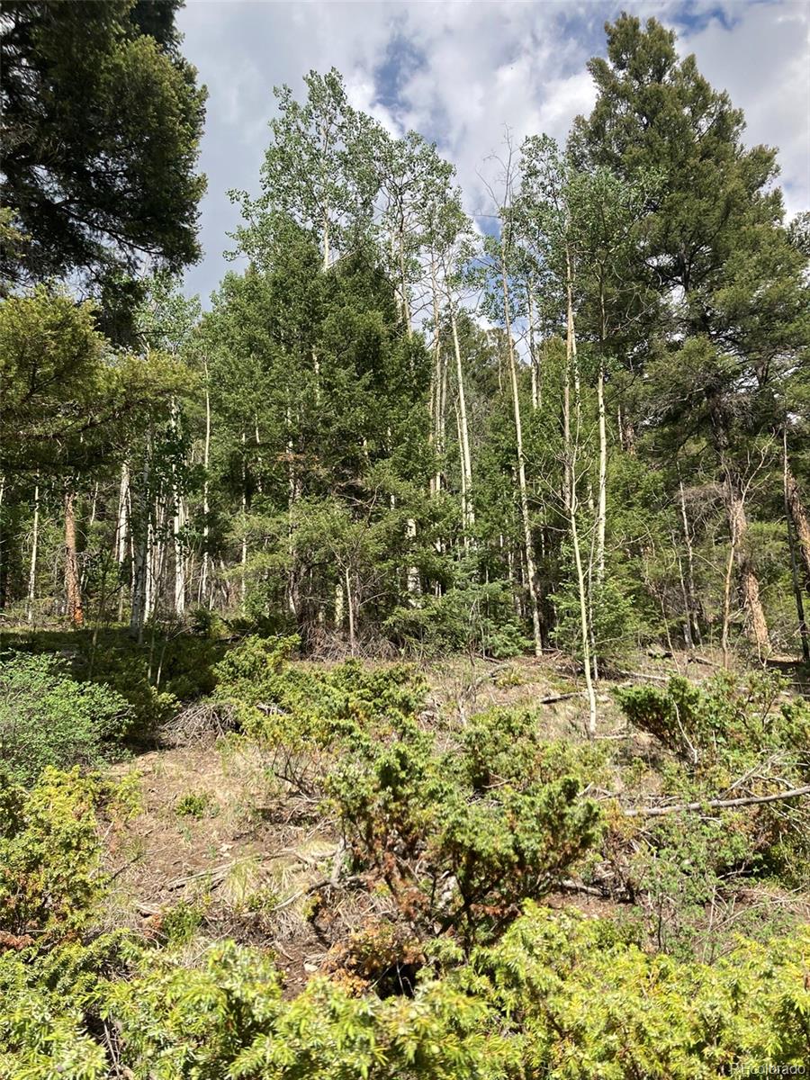 Lot 6461 Jacquez Road San Luis, CO 81152 - Photo 11 of 22