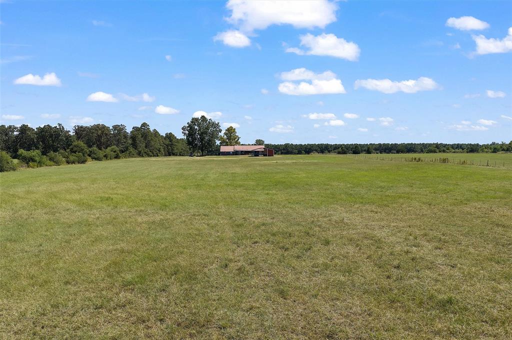 1131 Speights Road Keatchie, LA 71046 - Photo 9 of 33 Expansive green field with a distant building featuring a red roof, surrounded by mature trees