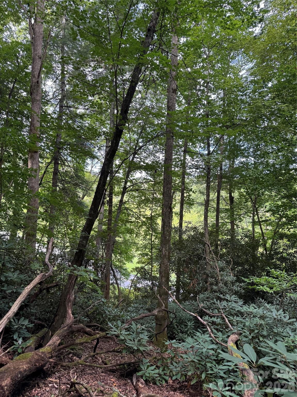 0 Wilson Road Brevard, NC 28712 - Photo 10 of 41 Gallery Image 10