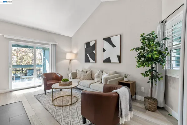 a living room with furniture and a potted plant