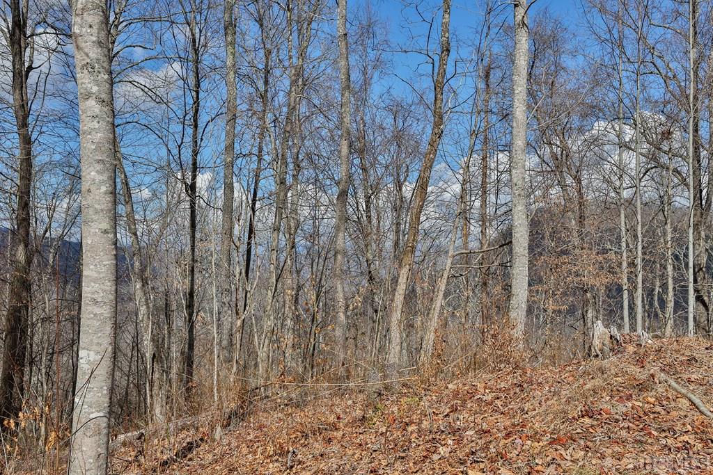 Lot 67 Pilot Knob Road Tuckasegee, NC 28783 - Photo 10 of 32 Gallery Image 10