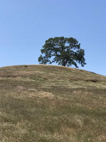 a view of ocean view