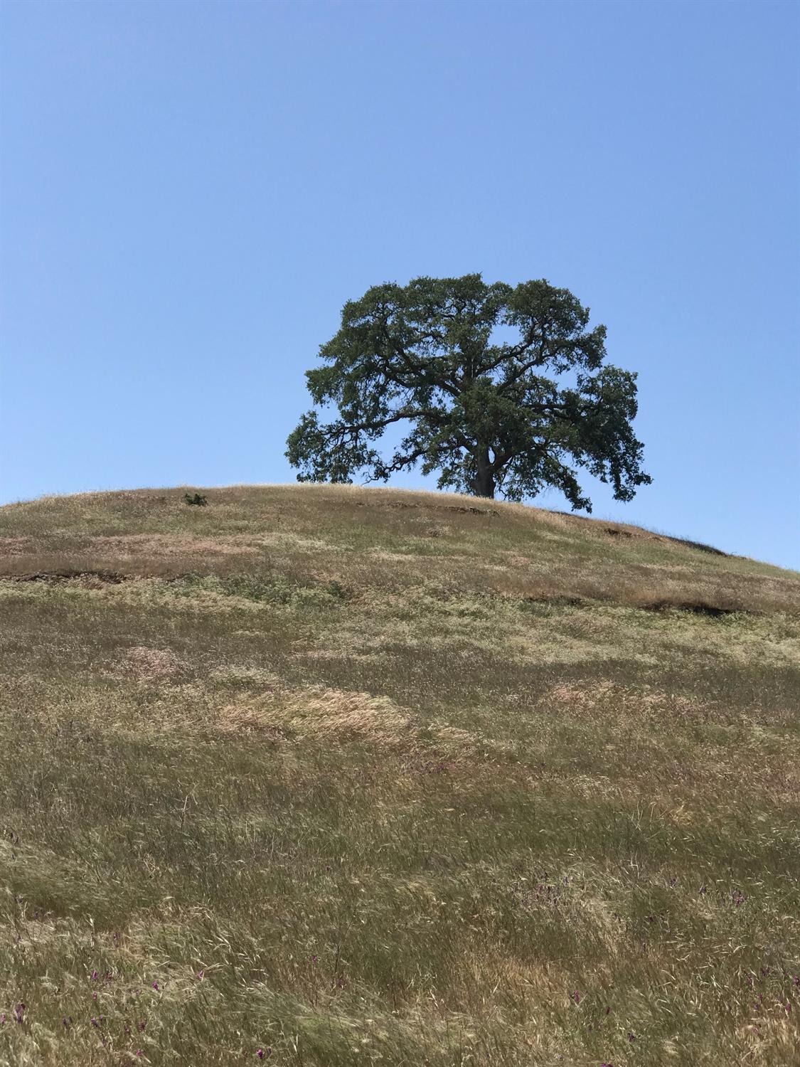14774 Milton Road Valley Springs, CA 95252 - Photo 21 of 43 a view of ocean with a building in the background