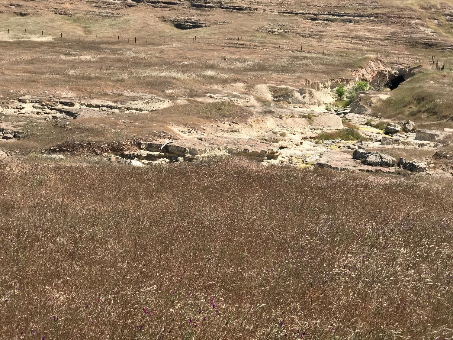 14774 Milton Road Valley Springs, CA 95252 - Photo 22 of 43