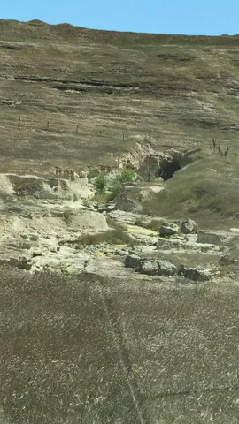 a view of beach and ocean