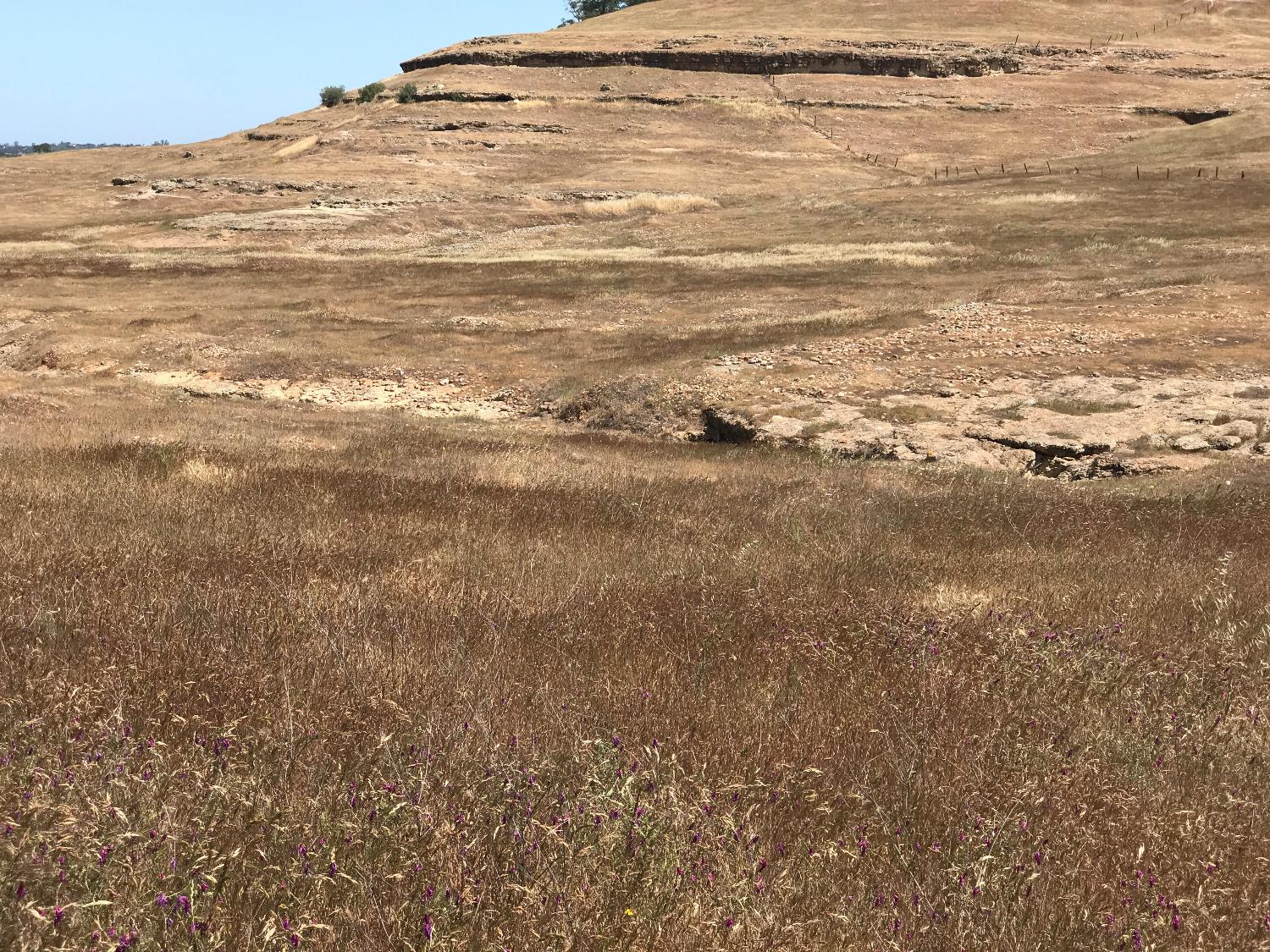 14774 Milton Road Valley Springs, CA 95252 - Photo 27 of 43 a view of beach and ocean