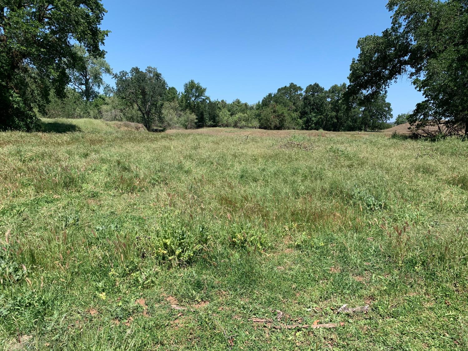 14774 Milton Road Valley Springs, CA 95252 - Photo 3 of 43 a view of a field with trees in the background